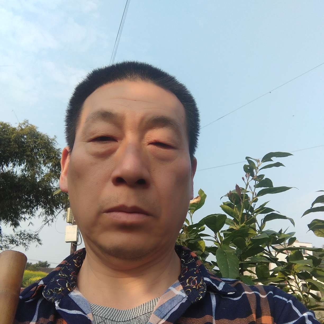 滑板说灼热的照片