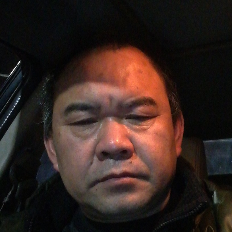 灵巧浅吻向日葵的照片