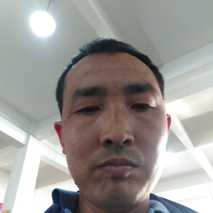 羞涩回首钢笔的照片