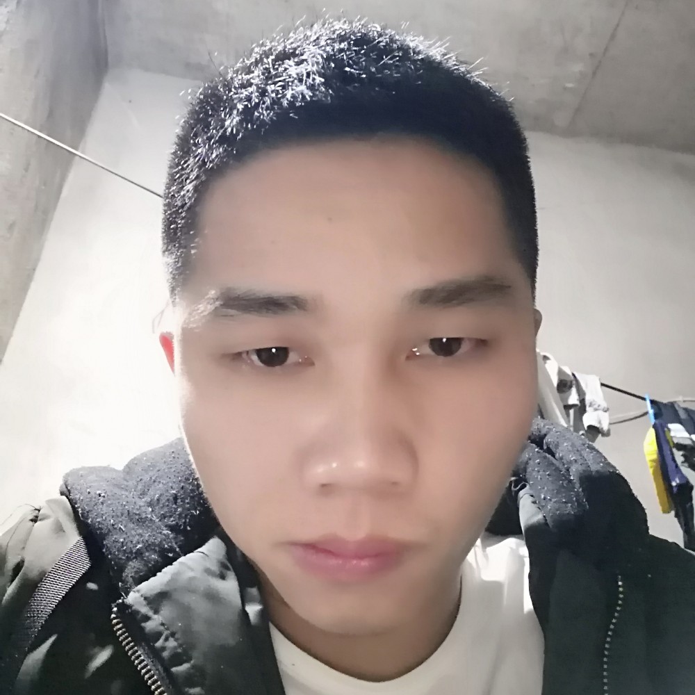 西牛体贴的照片