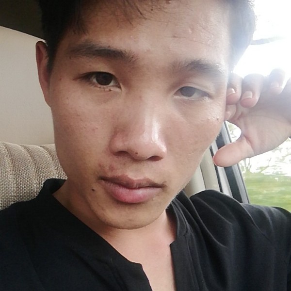 漠然洋葱的照片