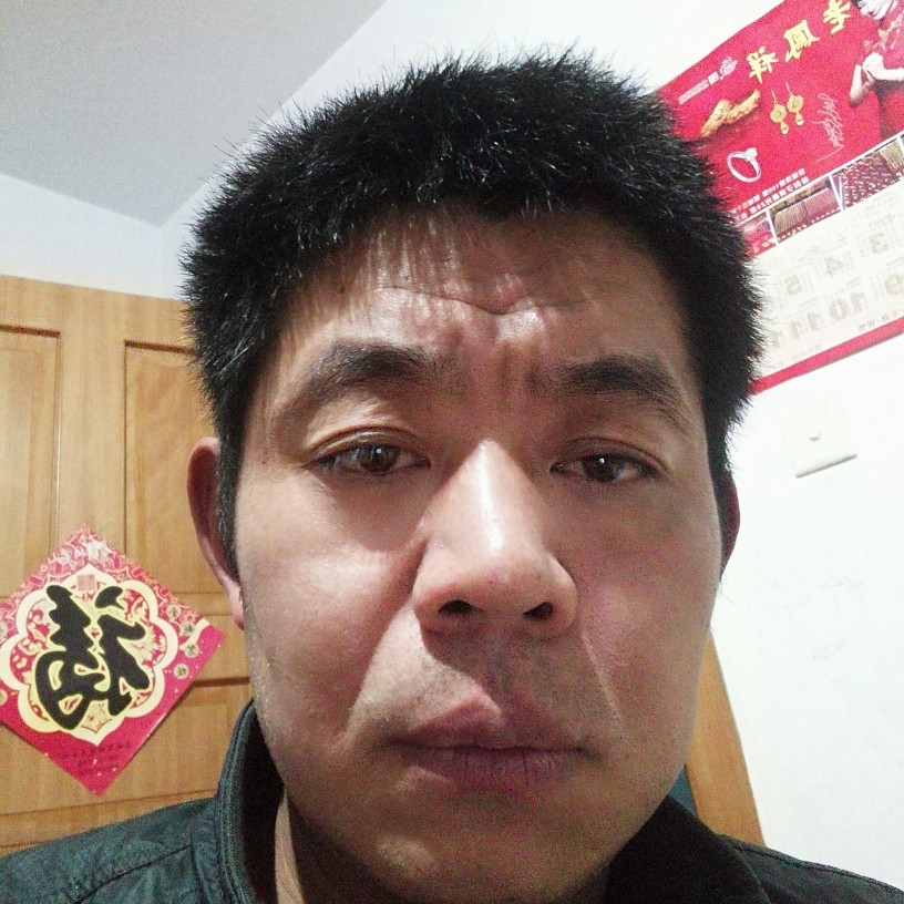 迷人回首犀牛的照片