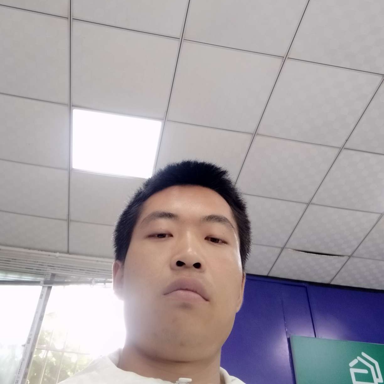 蘑菇头认真的照片