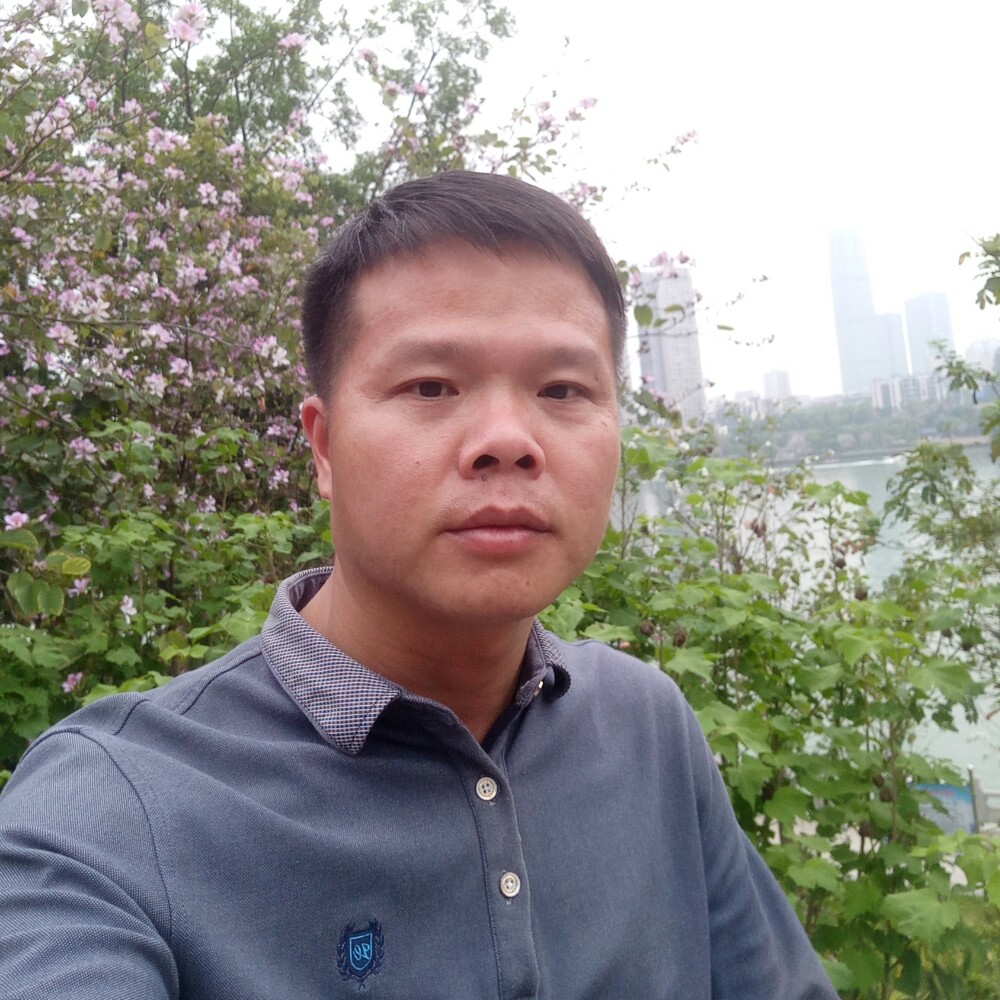 路上的骆驼的照片