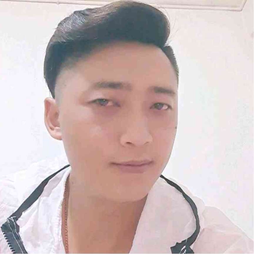 绿草倾心阳光的照片