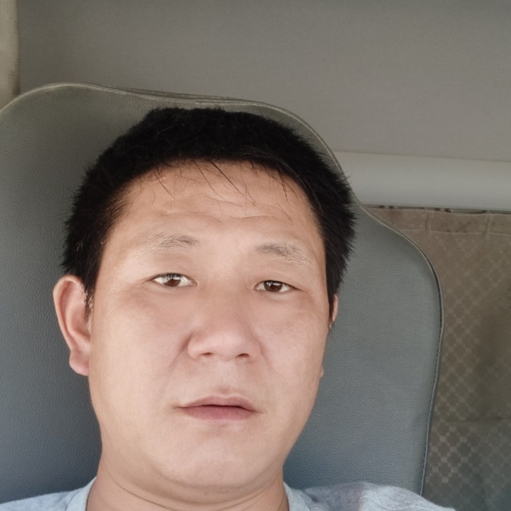 俏皮拾忆树叶的照片