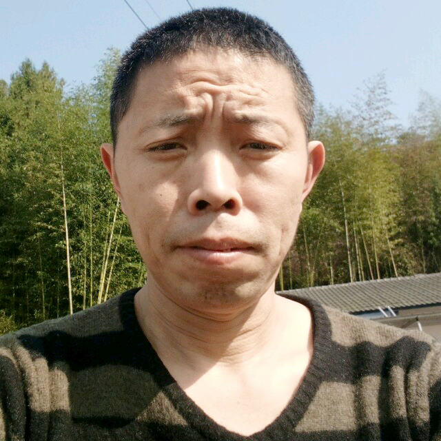 迟来也是爱的照片