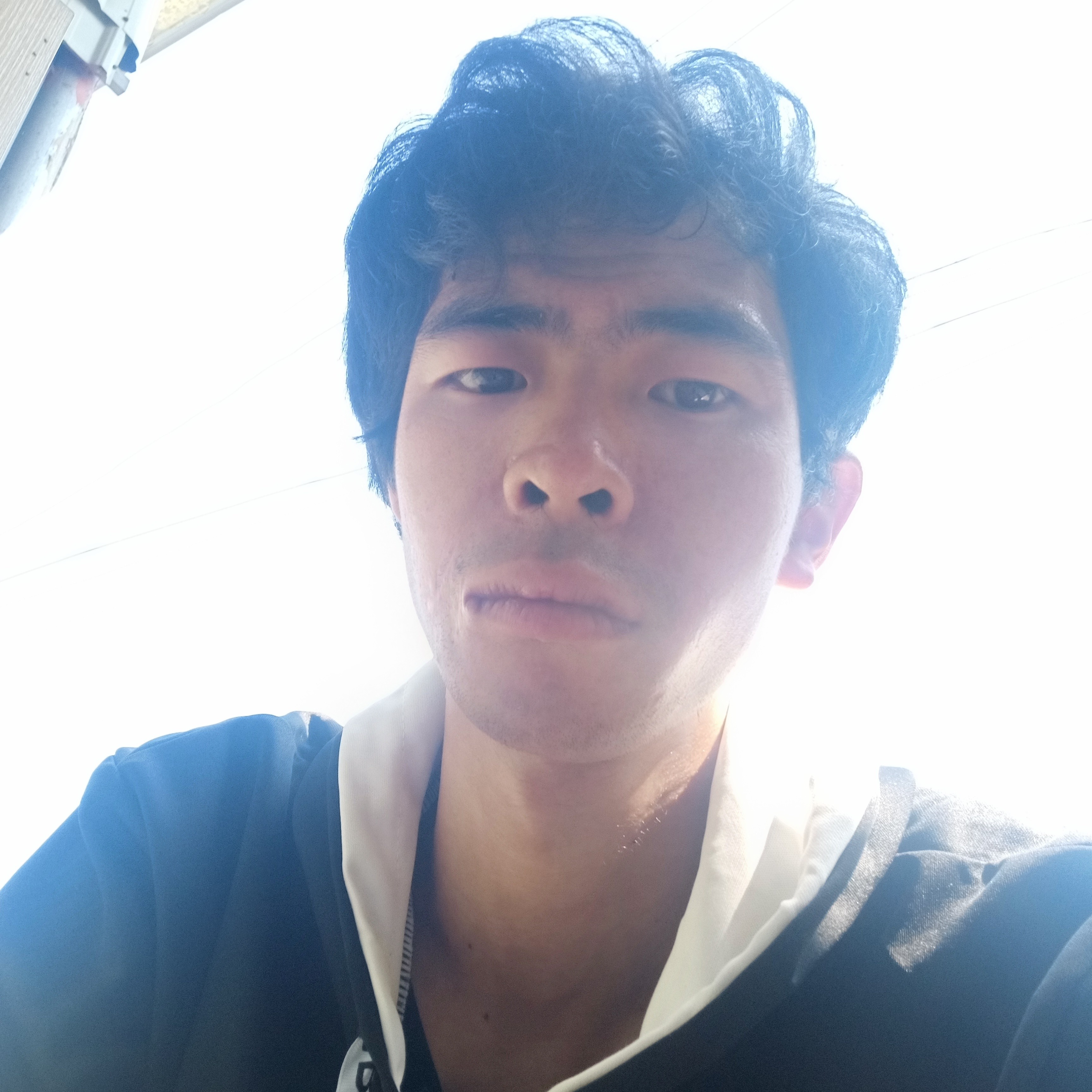 叶17的照片