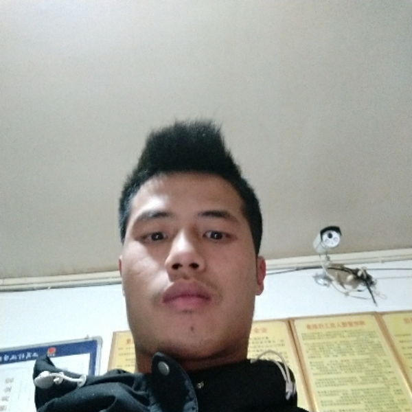 雾岛之樱。的照片