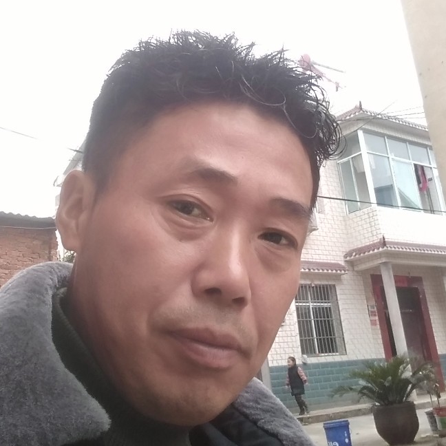 英俊小海豚‘的照片