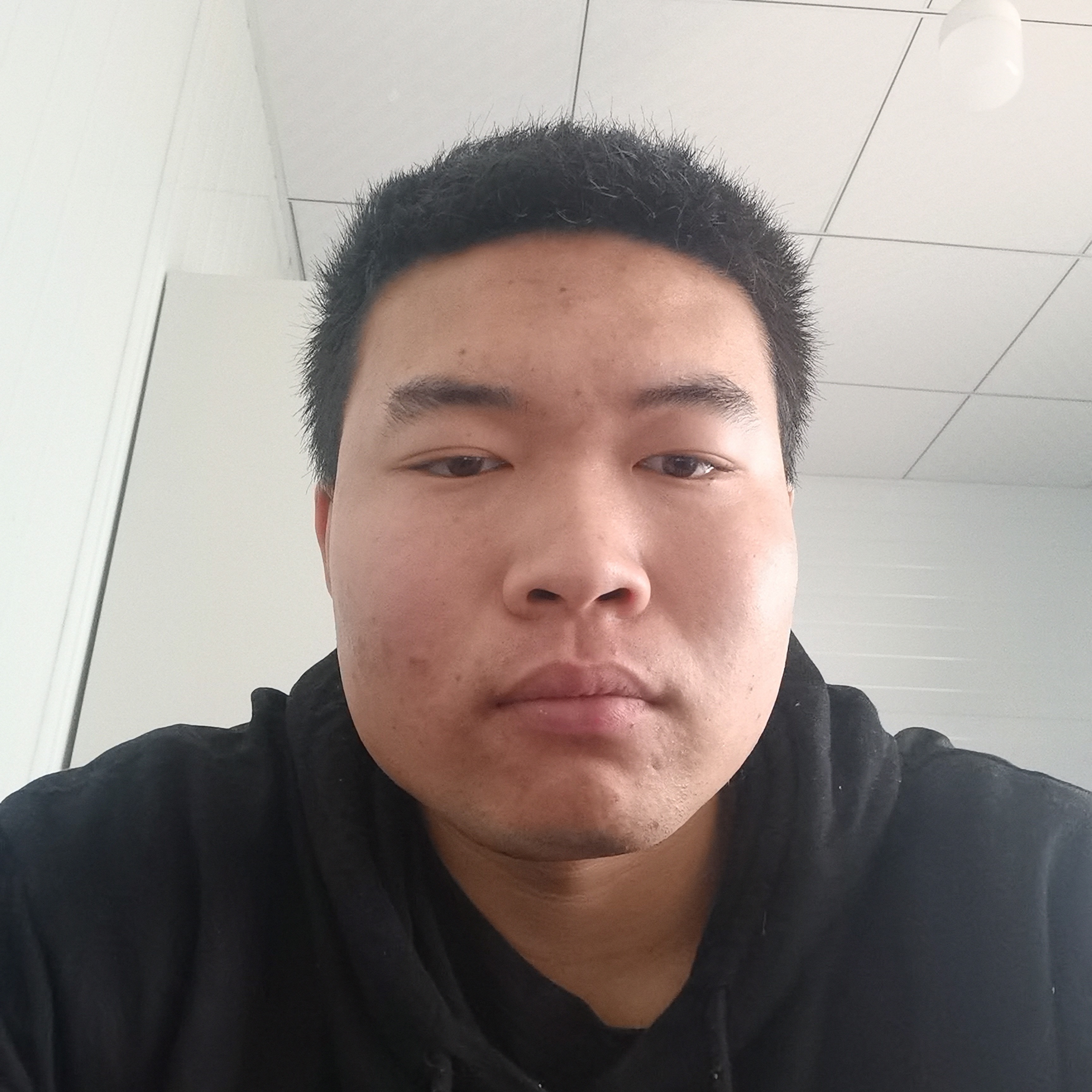 橘猫V的照片
