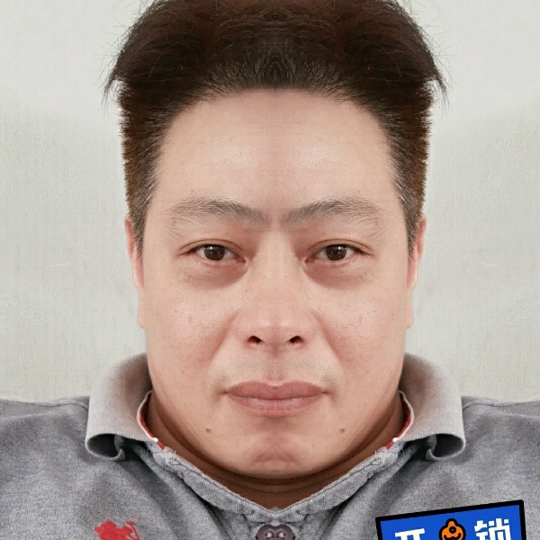 迷人红牛的照片