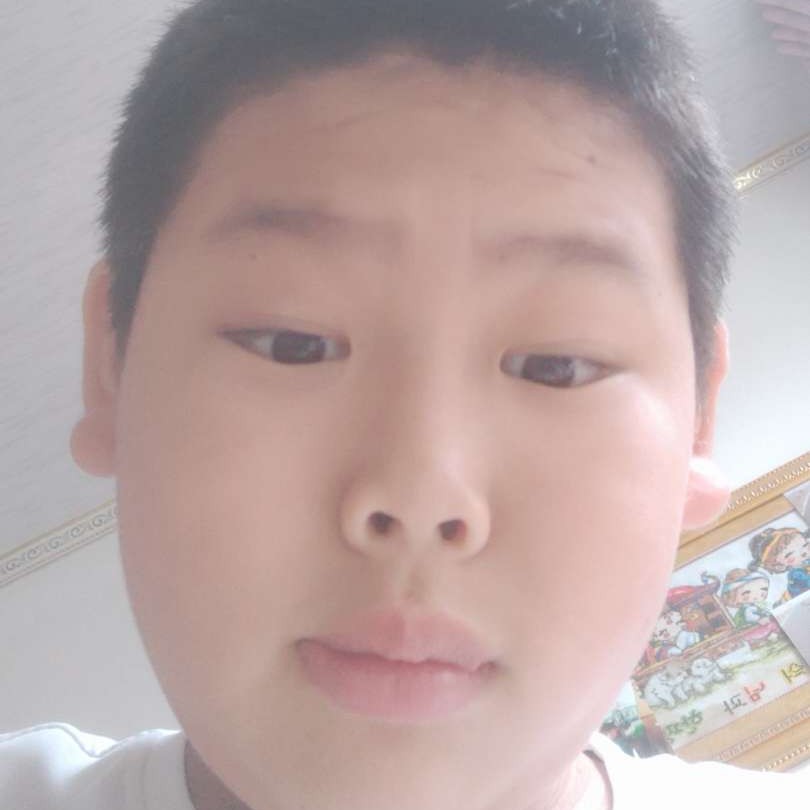 感性演变季节的照片