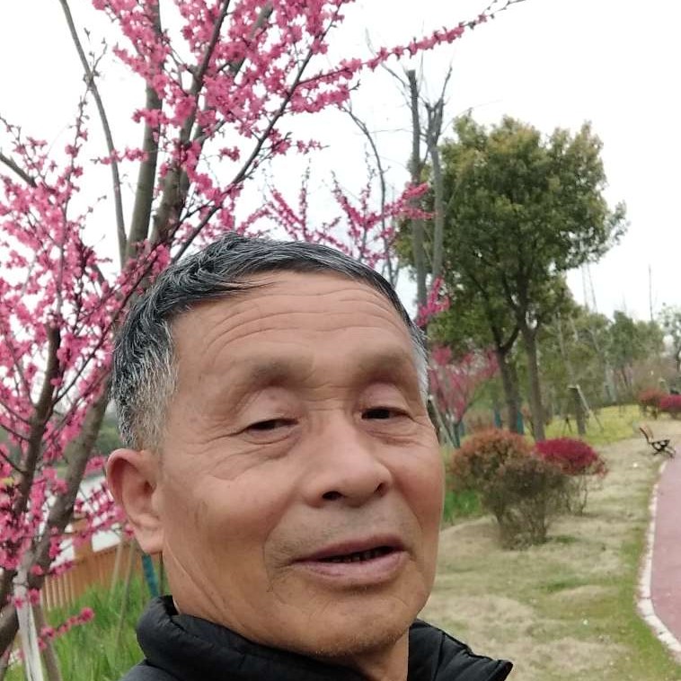 哈密瓜爱欢喜的照片