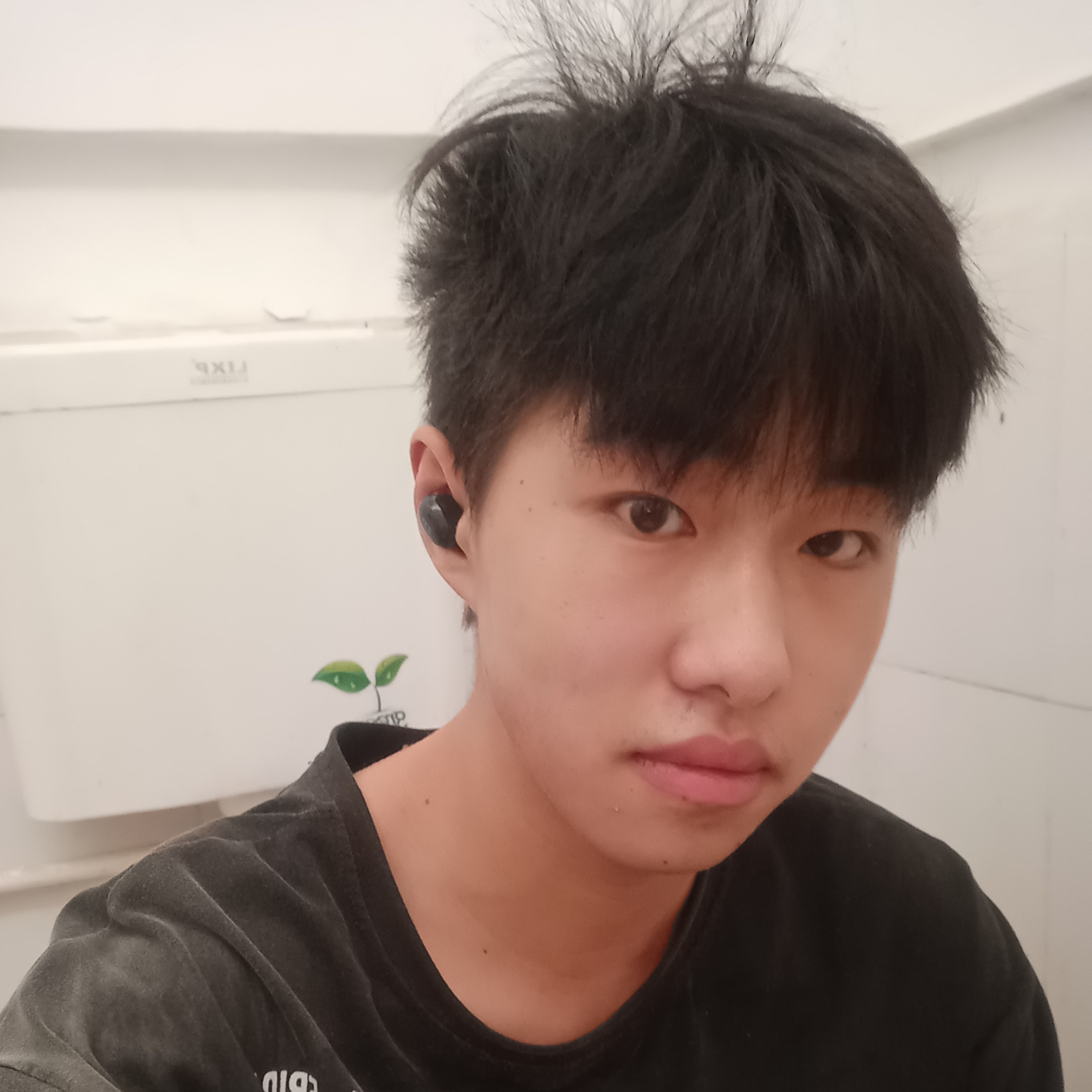 亲爱的相许鸭子的照片