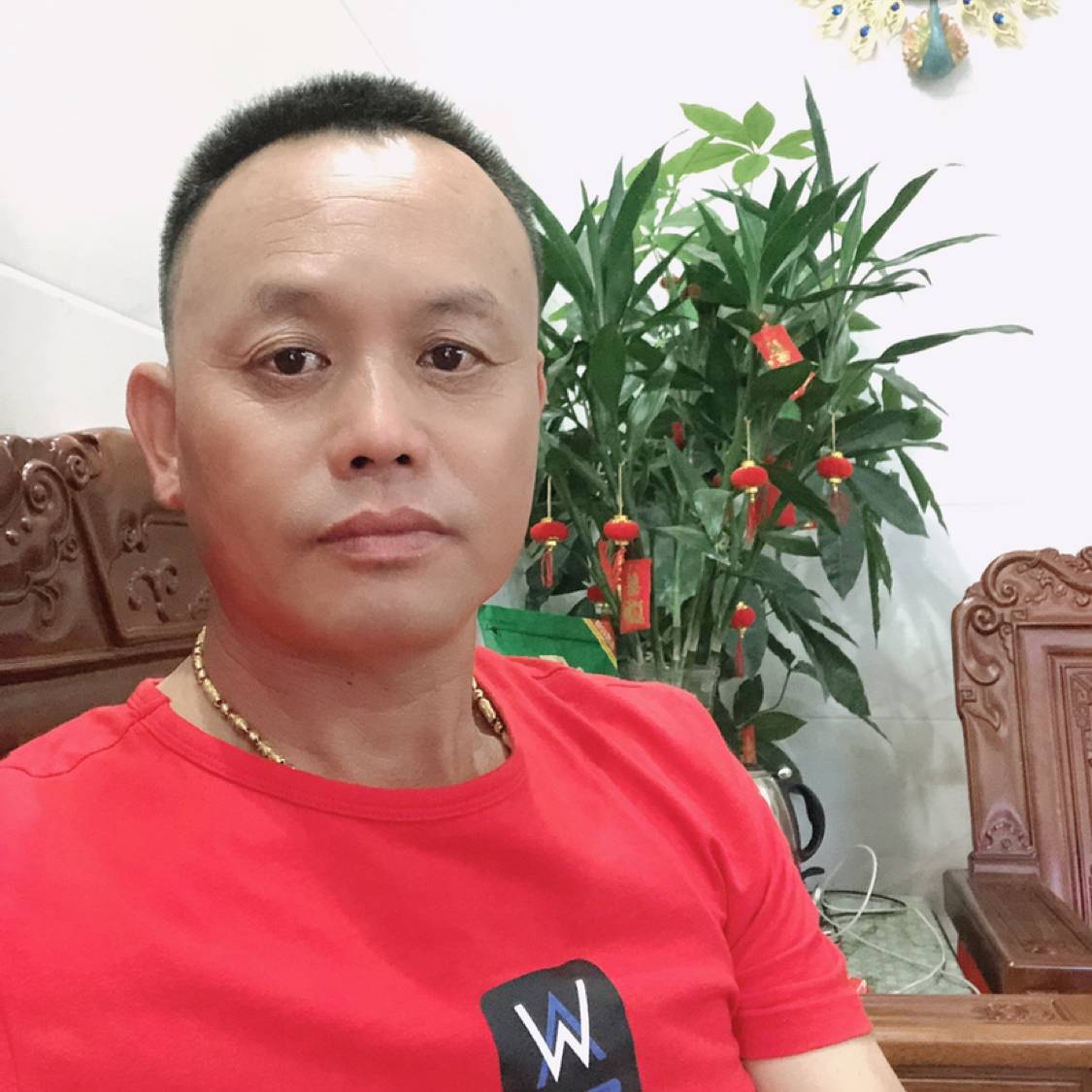 过客多么苹果的照片