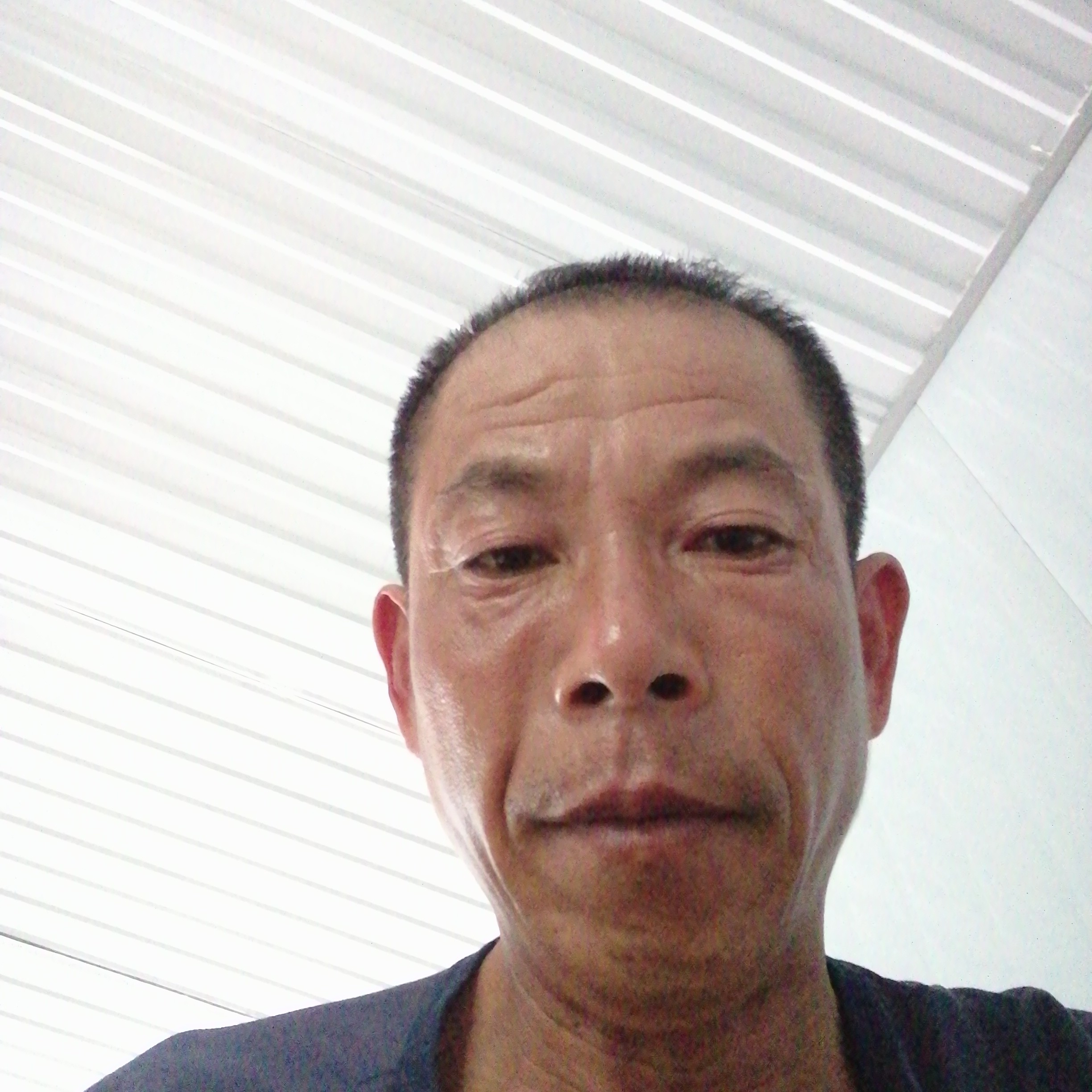 女王笑典雅277的照片