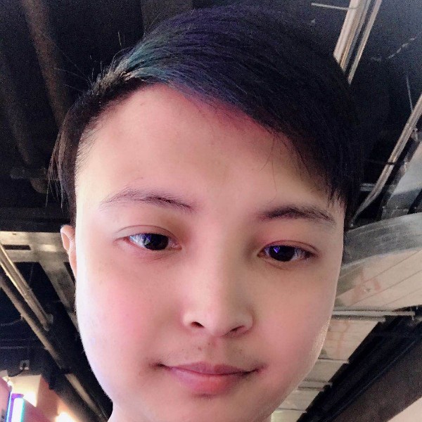河马从容的照片