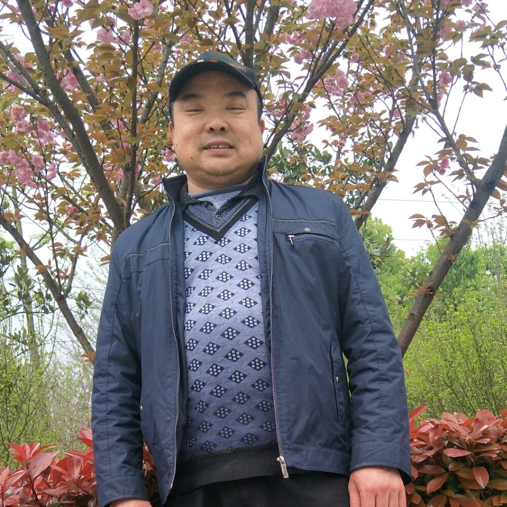 刺猬卡布奇诺的照片