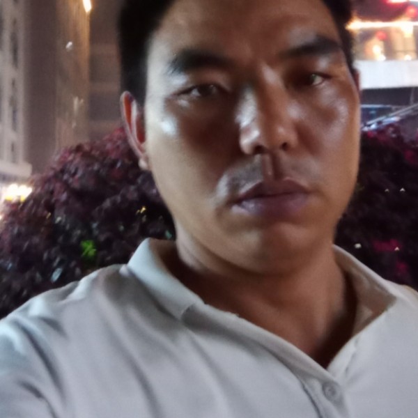 刺猬演变灼热的照片