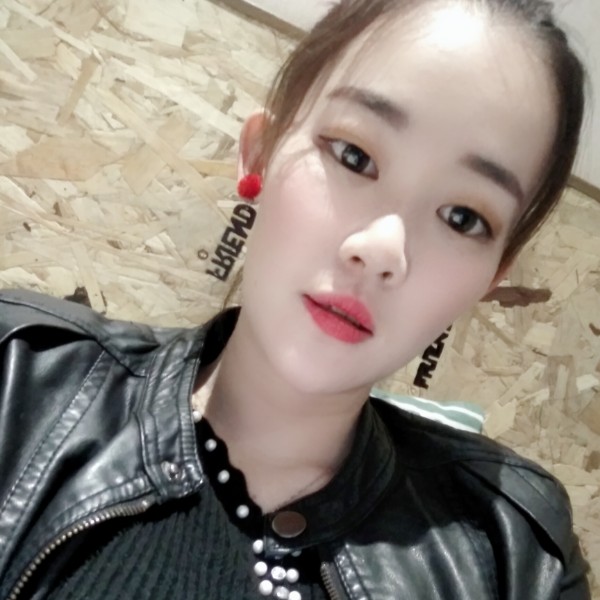 隐形小海豚的照片