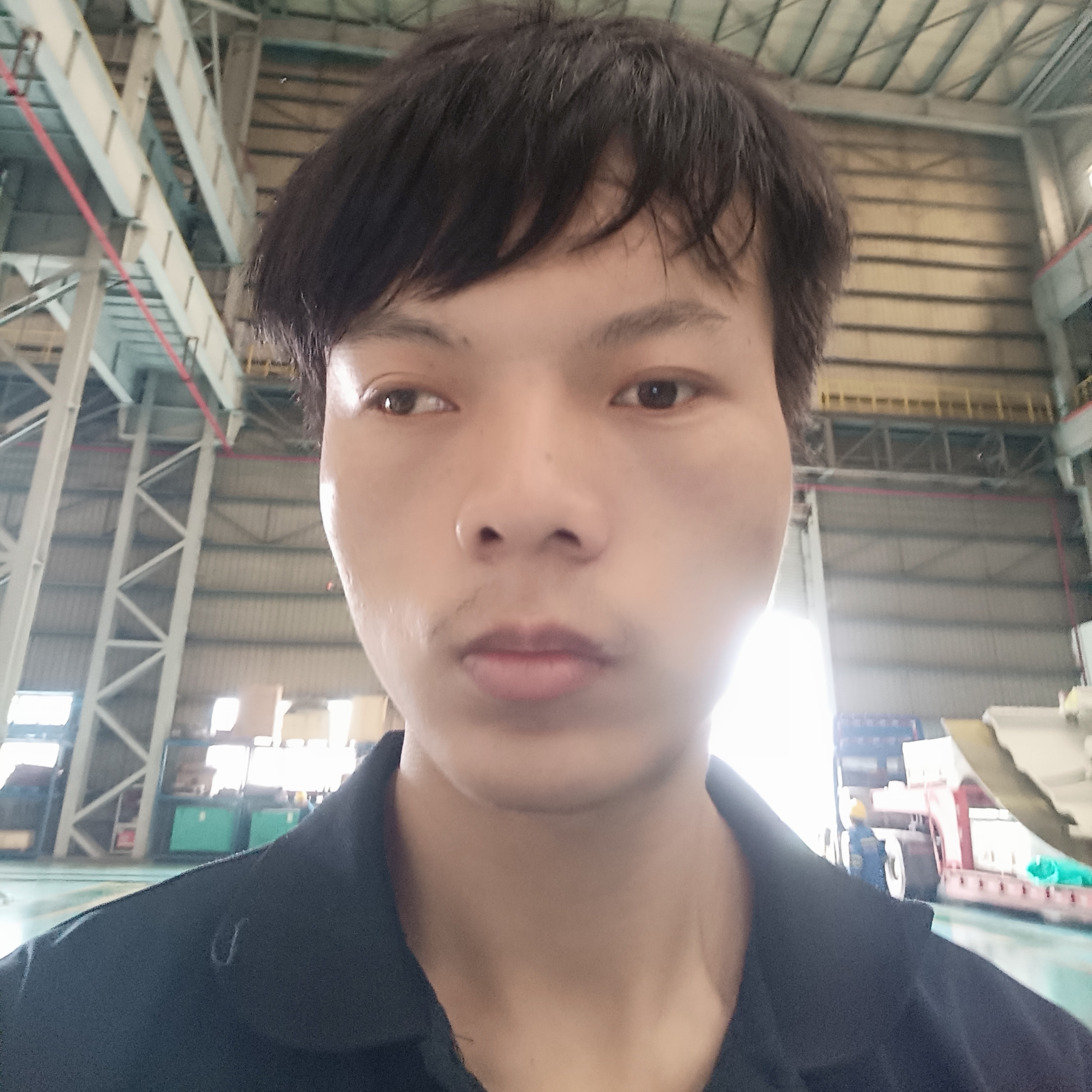 荼蘼给后来的照片
