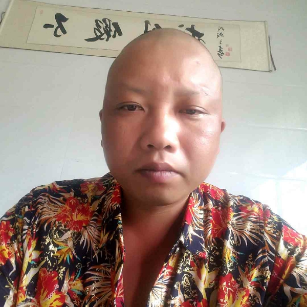 迅速倾心野狼的照片