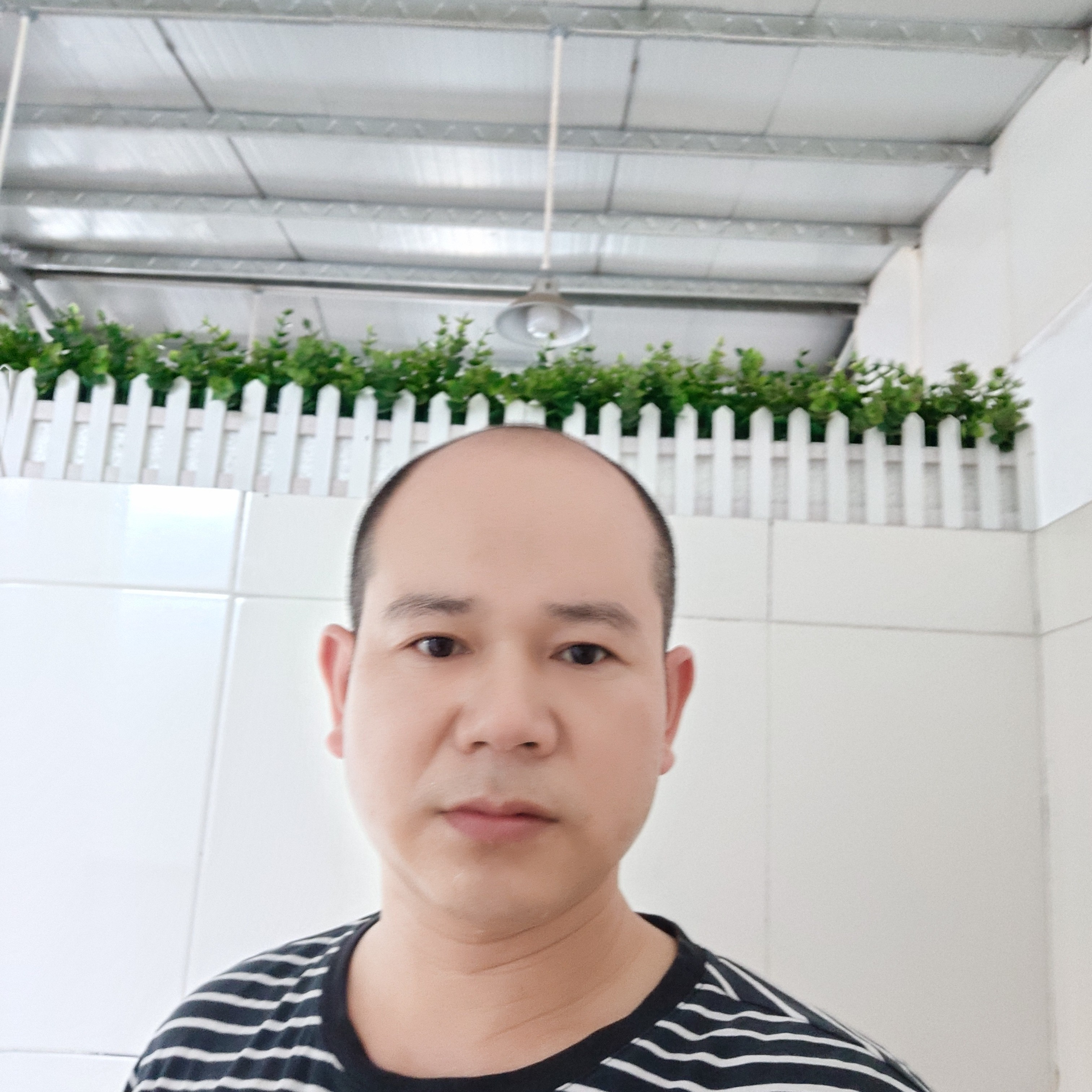 优秀给舒荷的照片