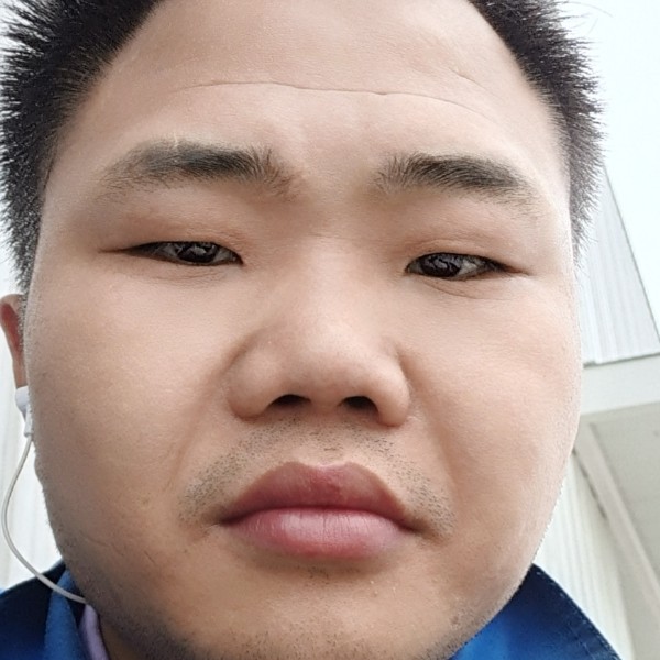 月下明烟的照片