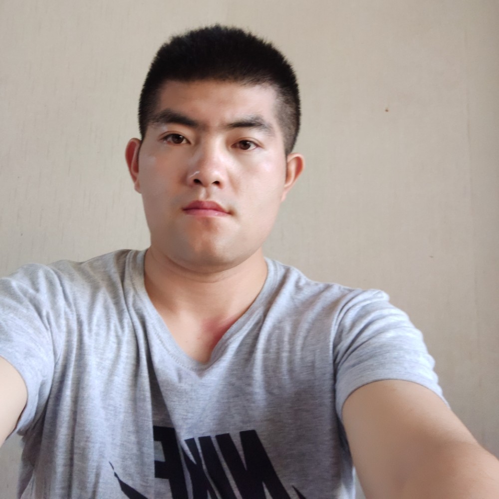 小海豚凝眸旧时光的照片