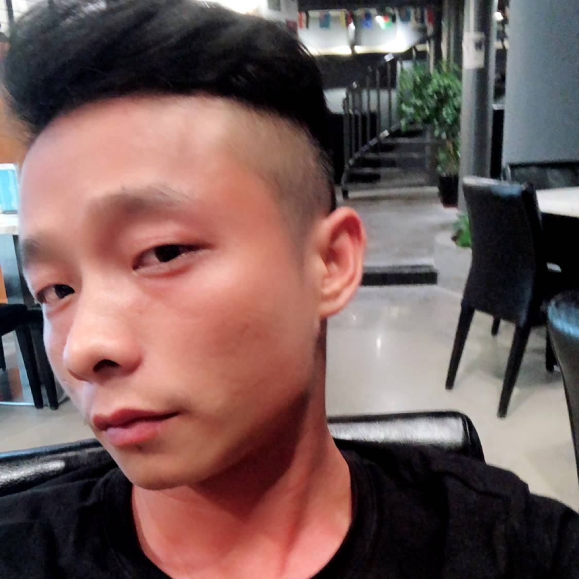 刺猬多么害怕的照片