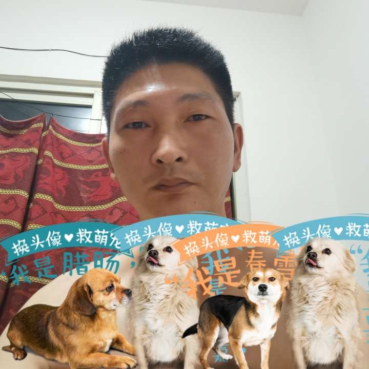 落叶知深秋的照片