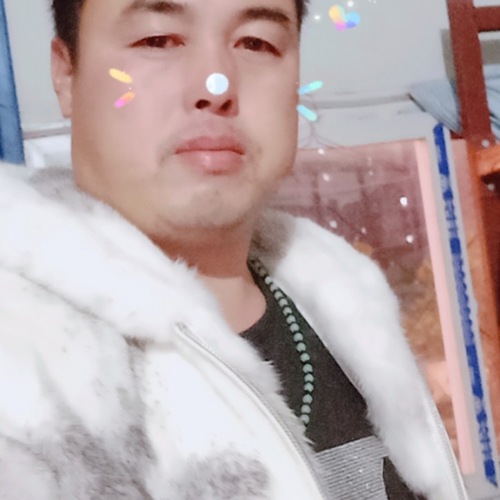 仙人掌停止儒雅的照片