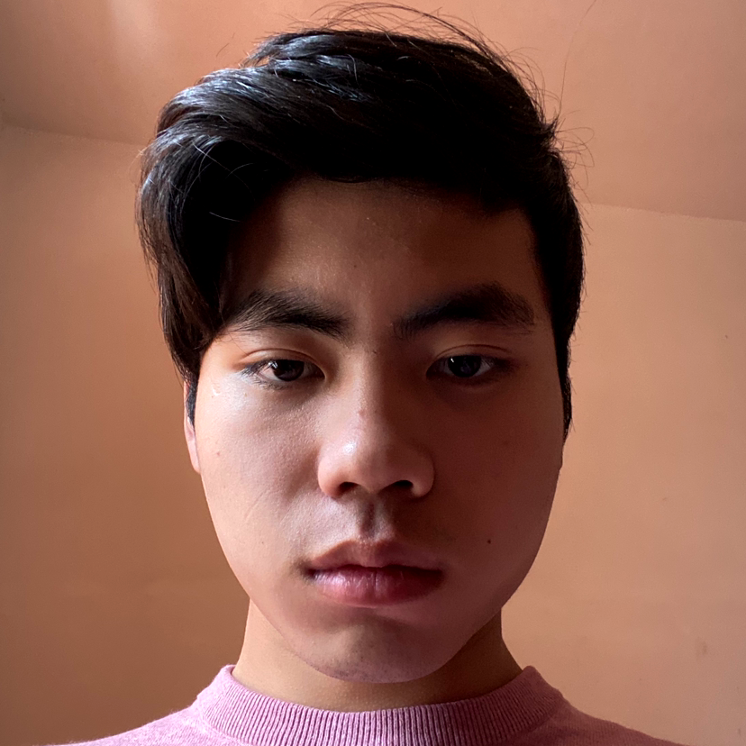 小鑫星的照片