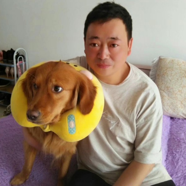 柜子保卫乐观的照片