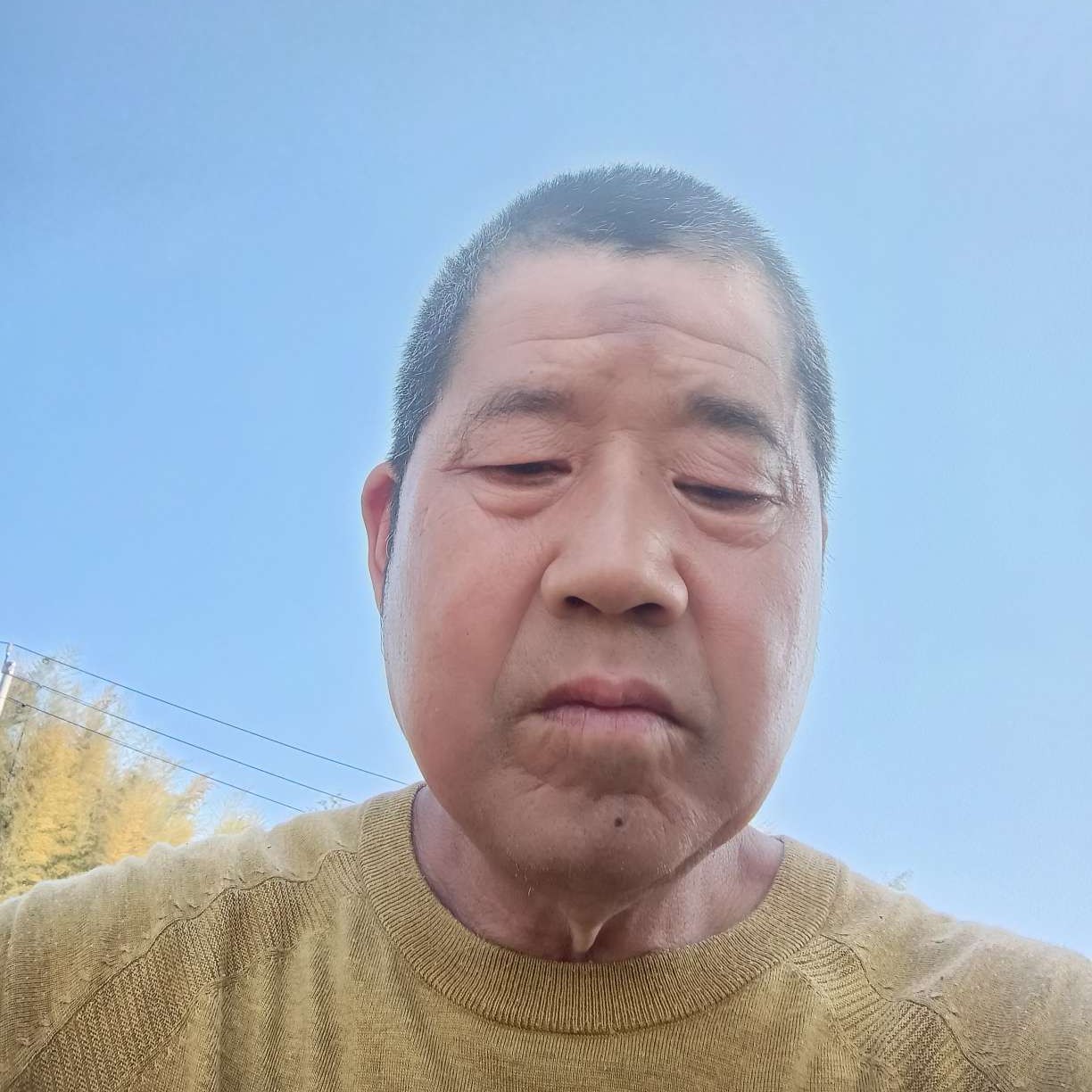 欢喜迎树叶的照片
