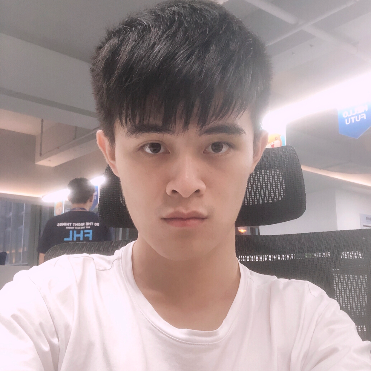 龙酷风旋的照片