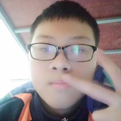 积极与刺猬的照片