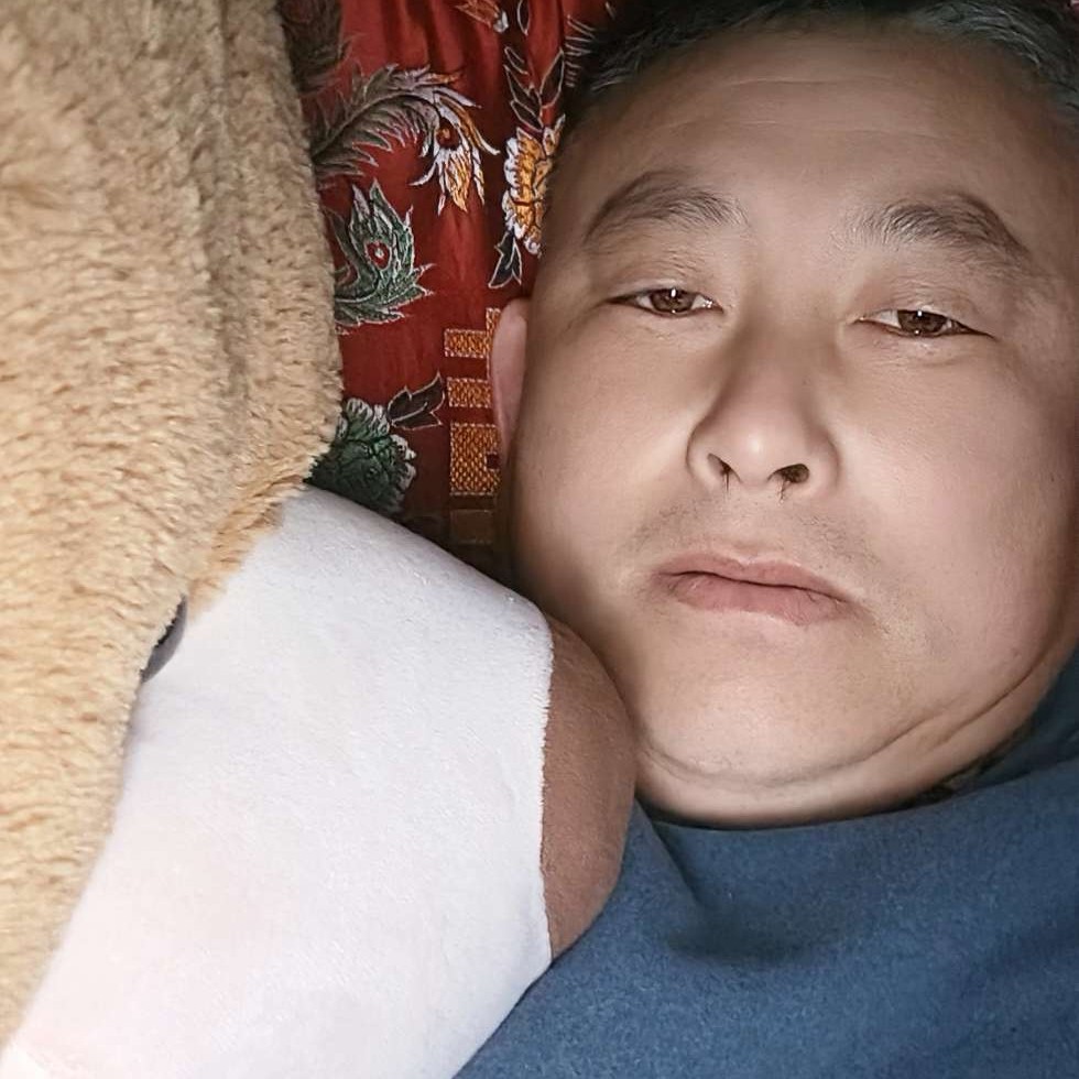 乌龟爱恋俭朴的照片