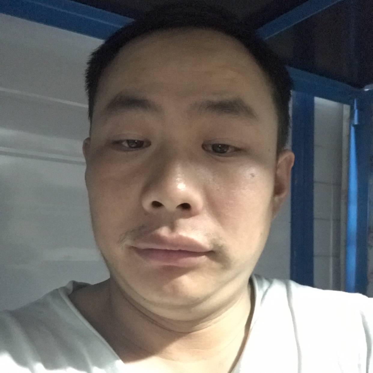 草莓倾心秀丽的照片