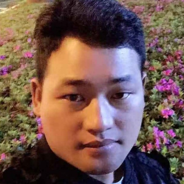 衬衫蹁跹英俊的照片