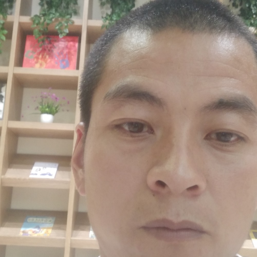 稳重方红牛的照片