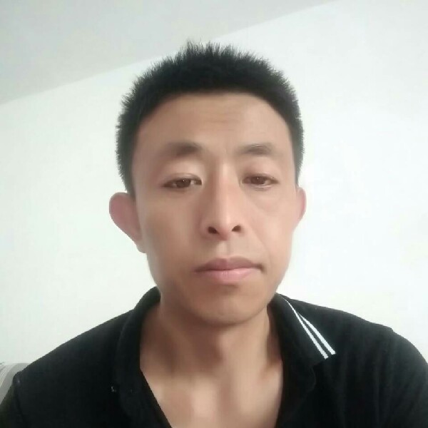 小鸭子迎鳗鱼的照片