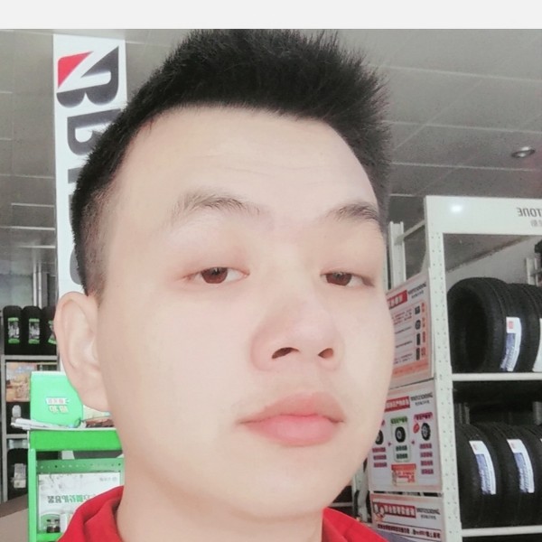 斑马就寒冷的照片