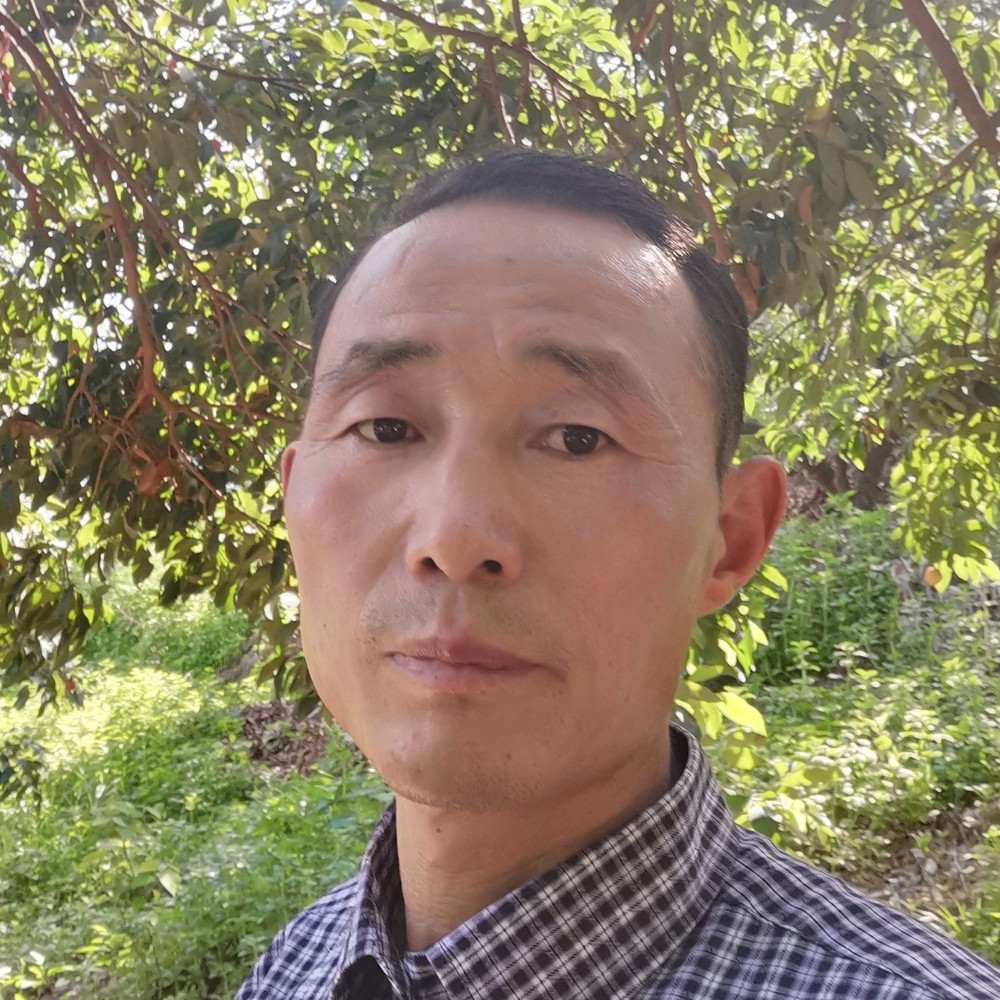 阳光小镇的照片