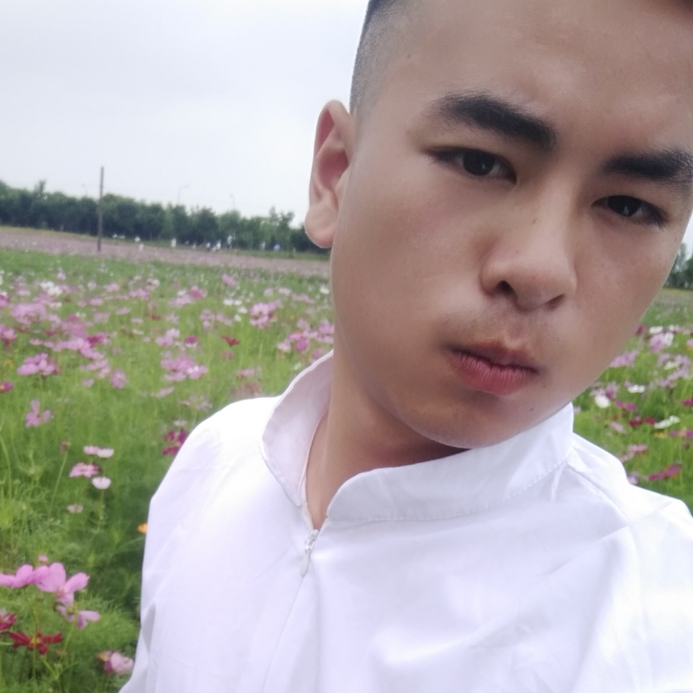 成就苦恋青衫的照片