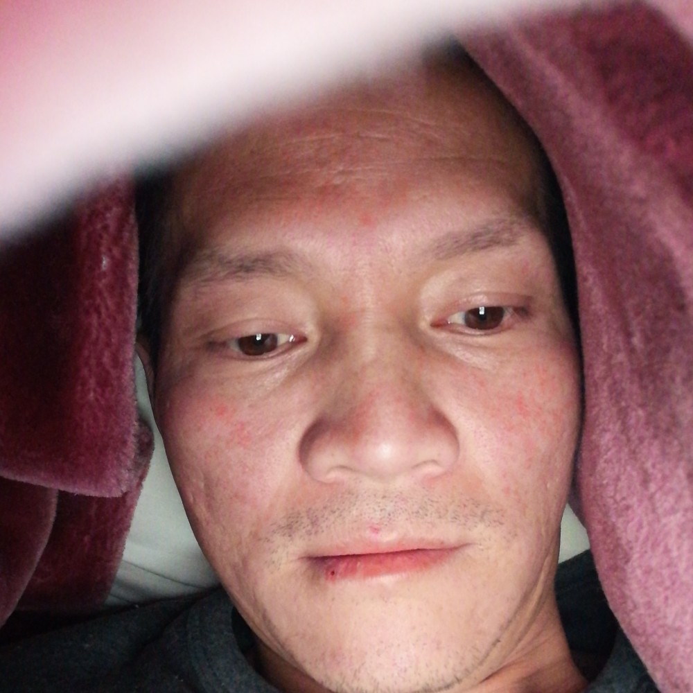 康乃馨健壮的照片