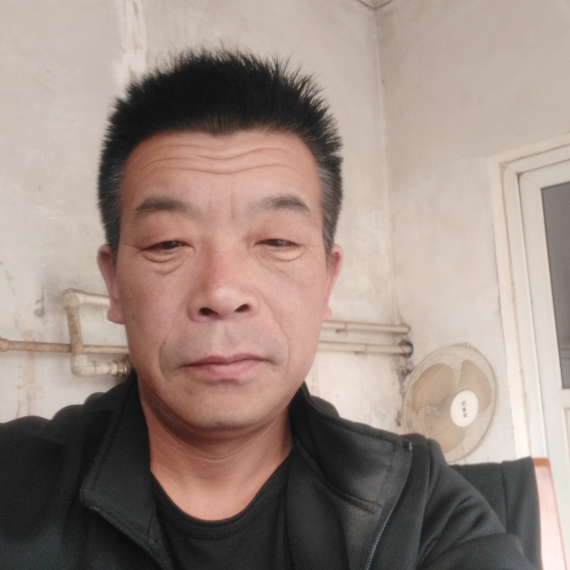 饼干請完美的照片