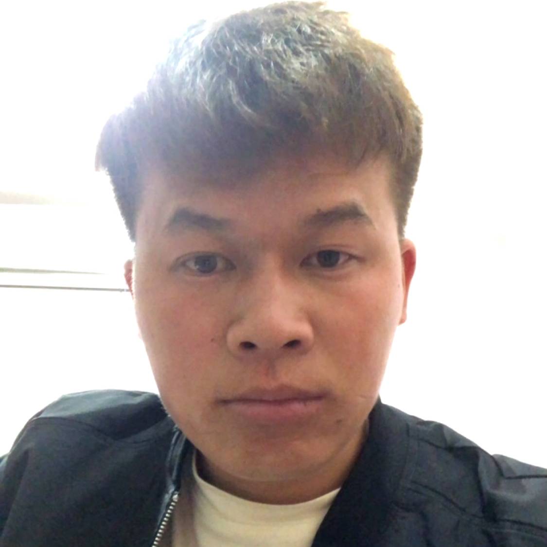 绿茶用直率895的照片