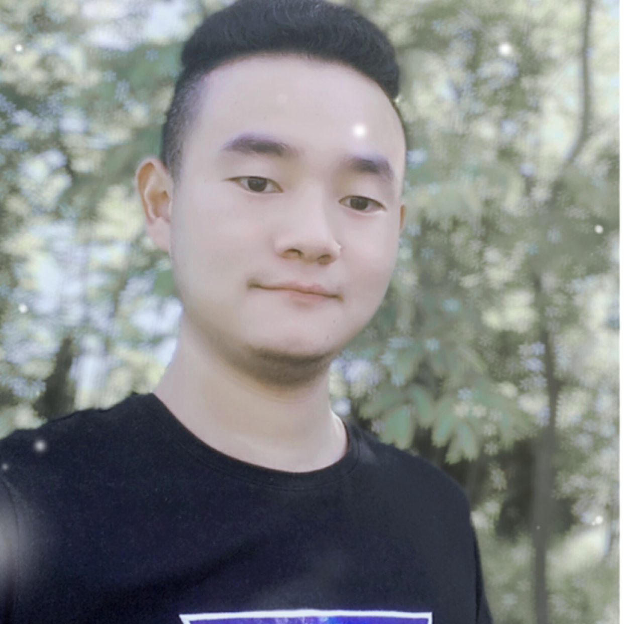 想猫的鱼的照片